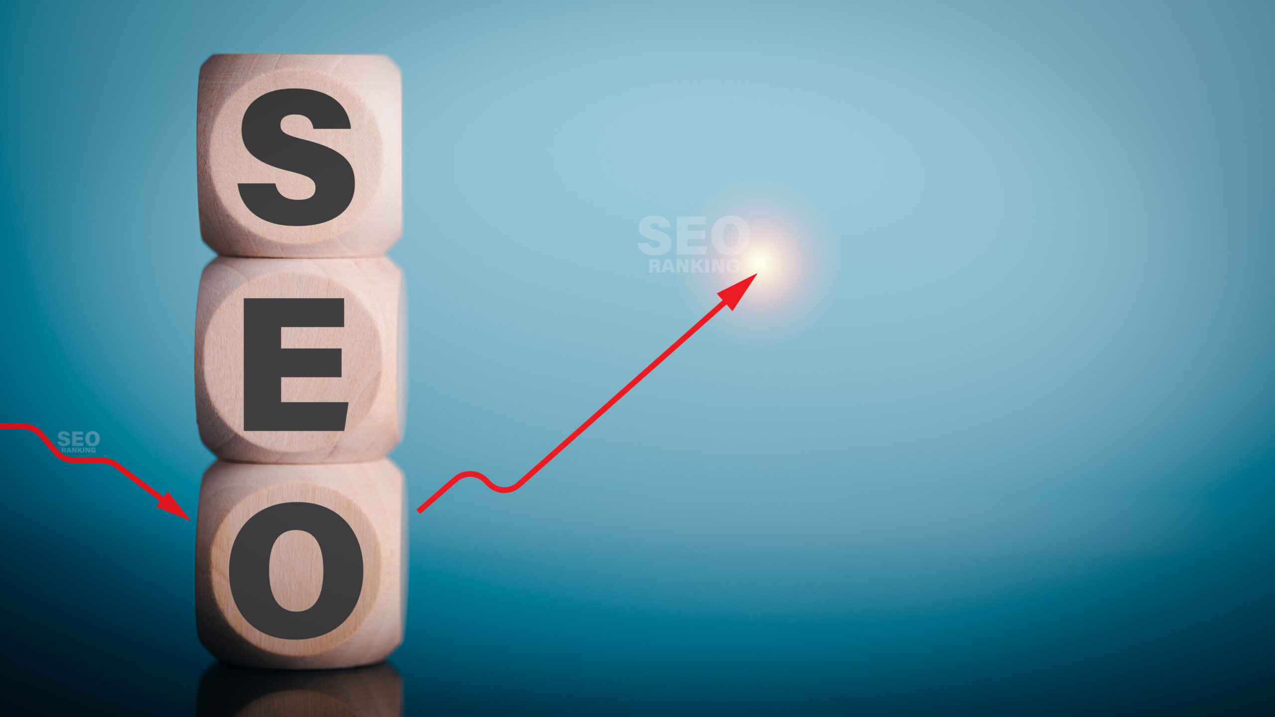 Maximizing Revenue with SEO